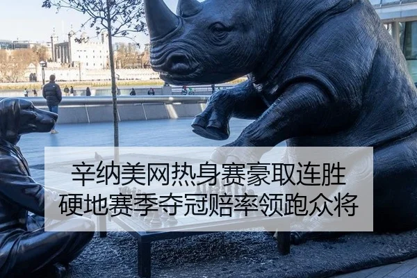 辛纳美网热身赛豪取连胜 硬地赛季夺冠赔率领跑众将